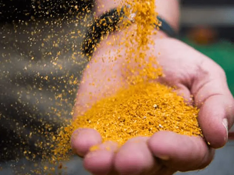 Best deer nutrition